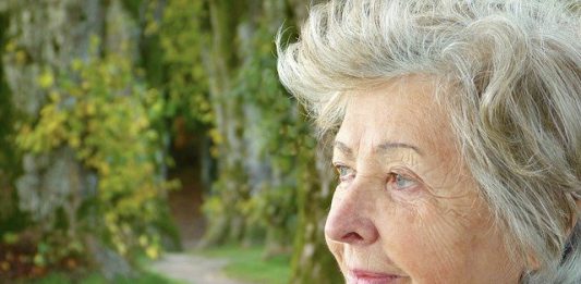 כושר בישיבה ומשחקי חברה לגיל השלישי – הפעילות המושלמת להעברת הבידוד